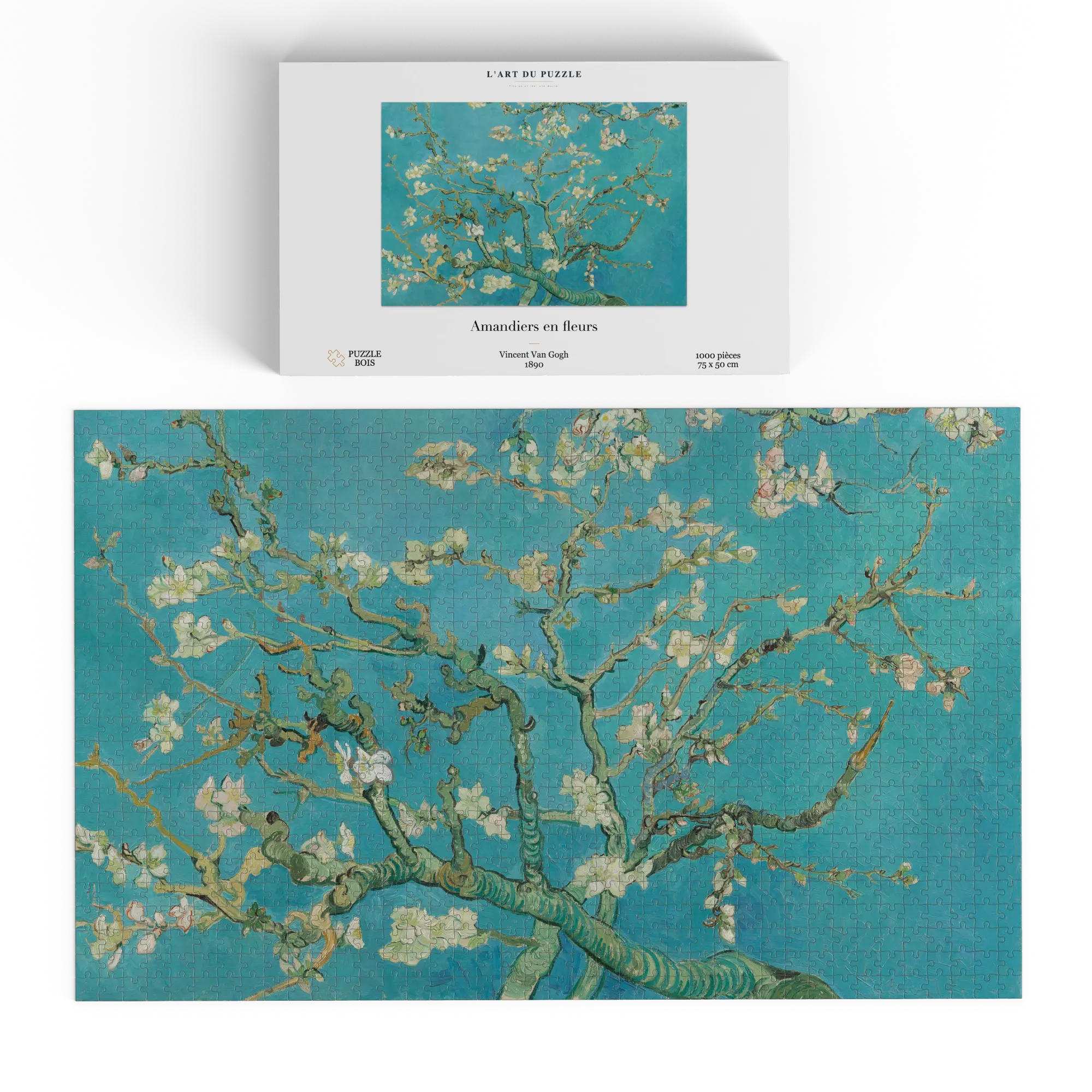 Amandiers en Fleurs - Vincent Van Gogh