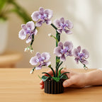 Puzzle 3D Fleur : Maquette à Assembler d'Orchidée Phalaenopsis Élégante (619 Pièces)