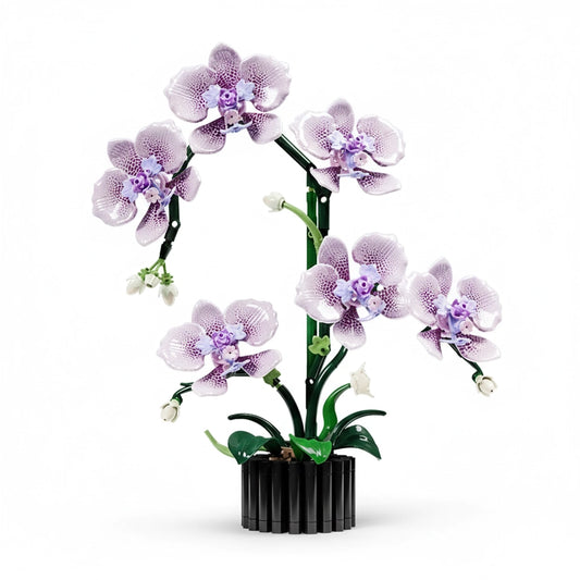 Puzzle 3D Fleur : Maquette à Assembler d'Orchidée Phalaenopsis Élégante (619 Pièces)