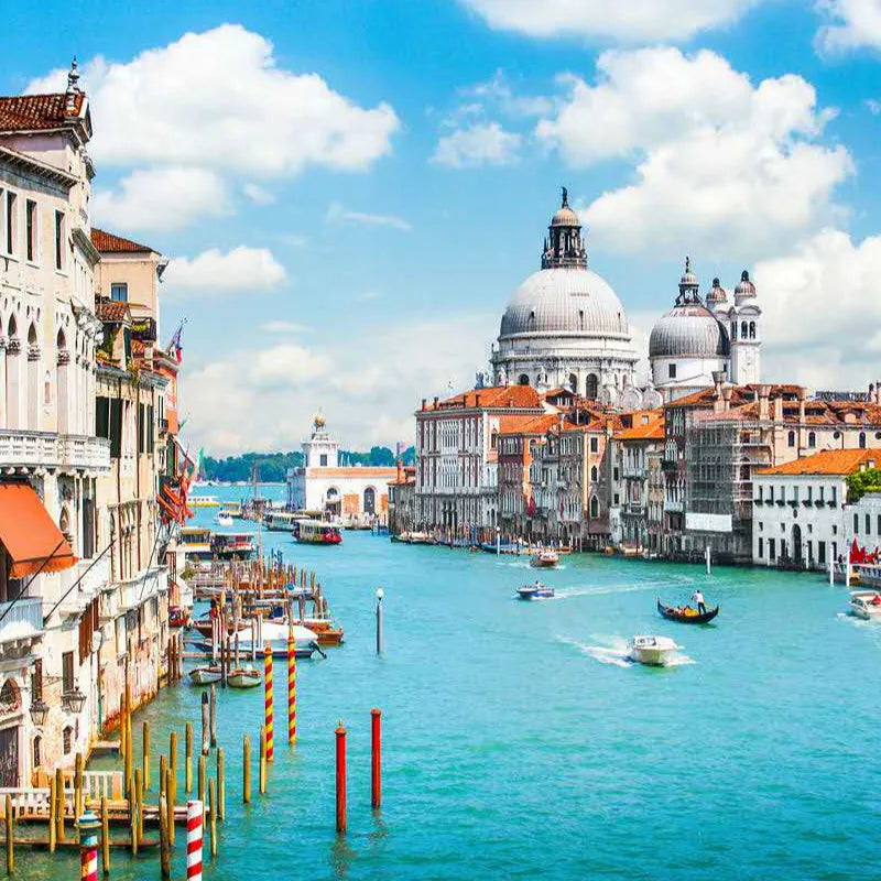 Puzzle 500 Pièces - Olive le Chien (Animaux, Art)