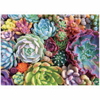 Puzzle 1000 Pièces - Plantes succulentes (Plante, Adulte)