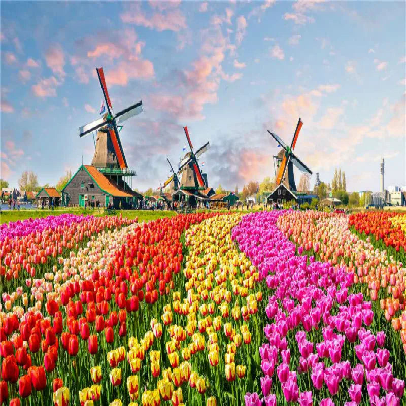 Puzzle 500 Pièces - Olive le Chien (Animaux, Art)