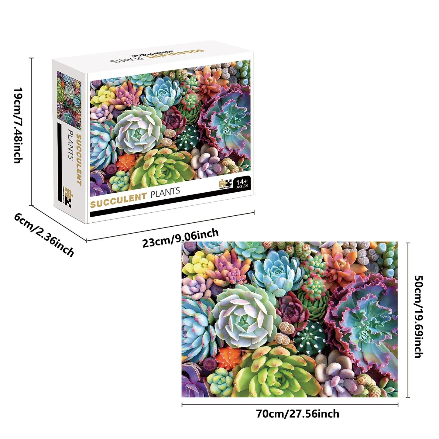 Puzzle 1000 Pièces - Plantes succulentes (Plante, Adulte)