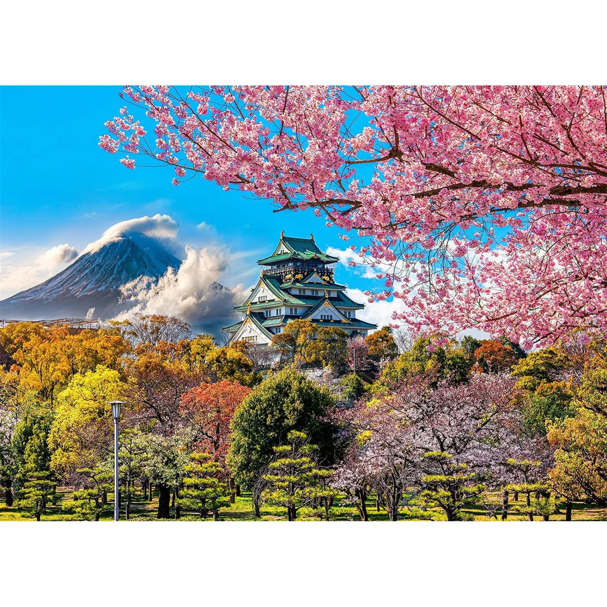 Puzzle 1000 Pièces - Fleurs de cerisier au château d'Osaka, Japon (Paysage, Art)
