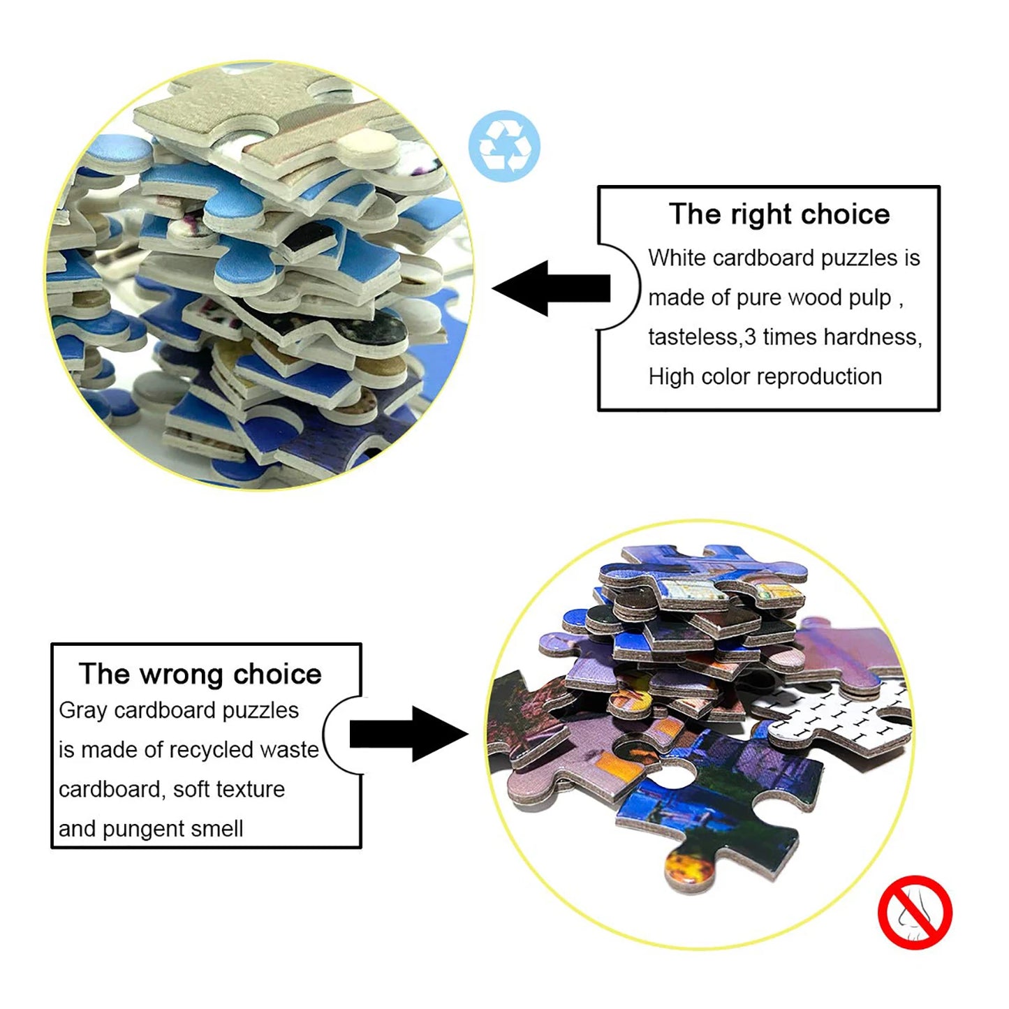 Puzzle 1000 Pièces - Plantes succulentes (Plante, Adulte)