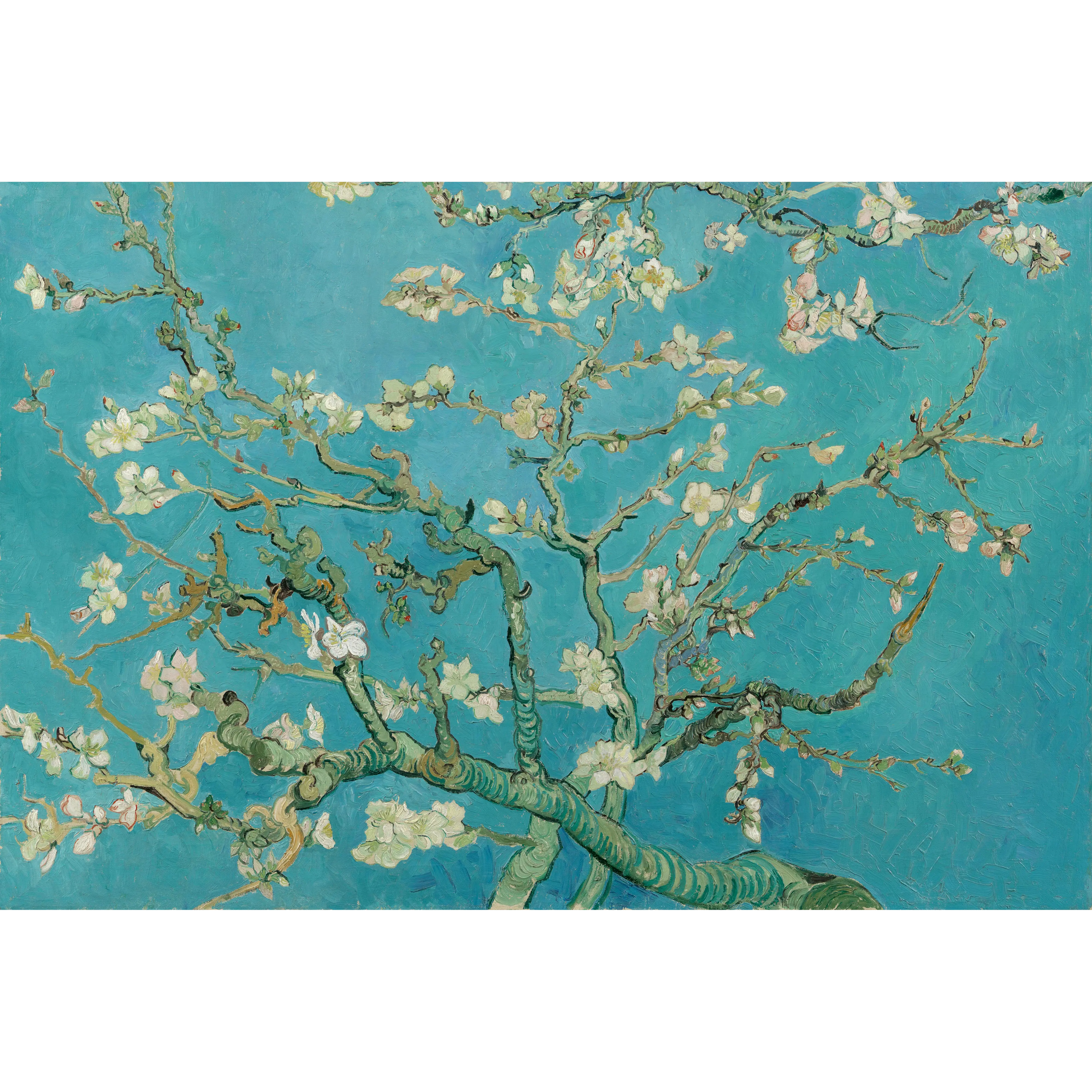 Amandiers en Fleurs - Vincent Van Gogh